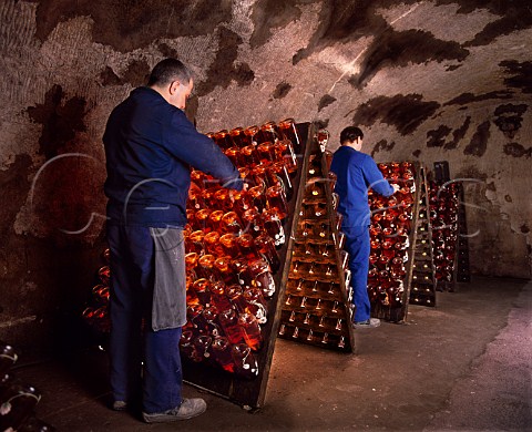 Remueurs at work on bottles of Belle poque ros in the cellars of Champagne PerrierJout  This is a vintage Champagne in a distinctive enamelled bottle pernay Marne France