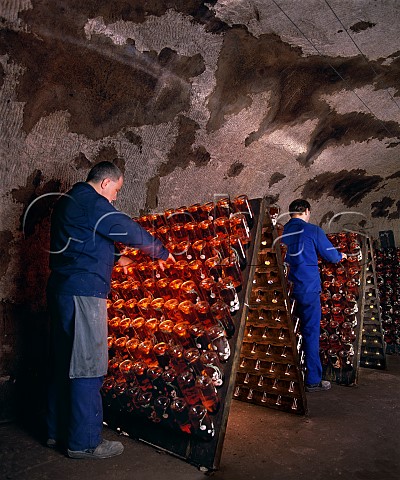 Remueurs at work on bottles of Belle Epoque Ros in the cellars of Champagne PerrierJout This is a vintage Champagne in a distinctive enamelled bottle pernay Marne France