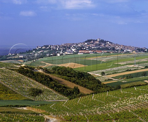 The village of Sancerre stands on a hill above the River Loire surrounded by vineyards mostly of Sauvignon Blanc but also some Pinot Noir  Cher France