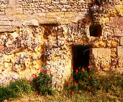 Cliff face showing the tuffeau subsoil behind which   are hewn out Le Mont cellars of Gaston Huet    Vouvray IndreetLoire France  AC Vouvray