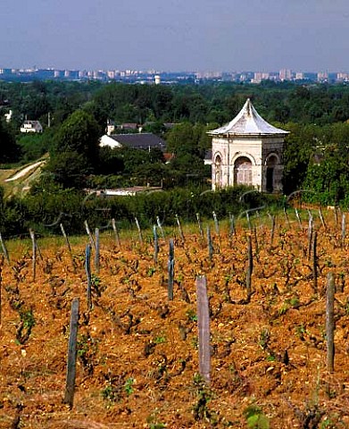 Le Mont vineyard of Gaston Huet with Tours in the   distance Vouvray IndreetLoire France  Vouvray