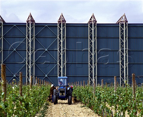 The large plant of Courvoisier on the outskirts of   Jarnac is the backdrop to spring ploughing of the   vineyard CharenteMaritime France   Cognac