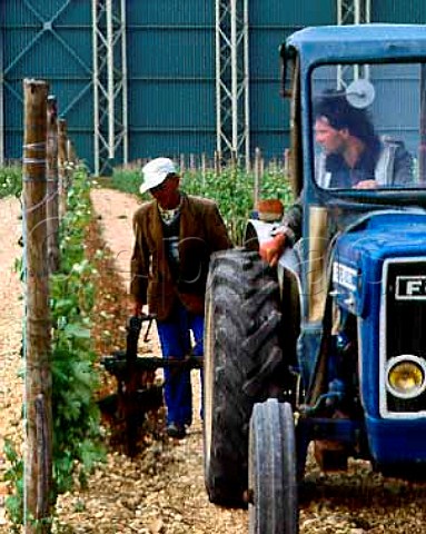 The large plant of Courvoisier on the outskirts of   Jarnac is the backdrop to spring ploughing in the   vines Cognac