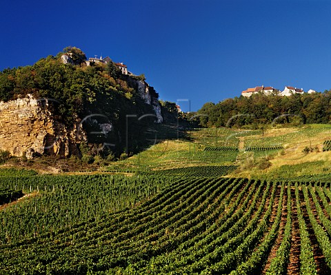 Savagnin vineyards below the hilltop village of ChteauChalon Jura France  Jura