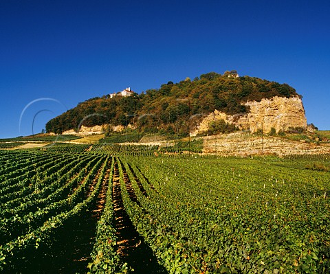 Savagnin vineyards below the hilltop village of ChteauChalon Jura France   ChteauChalon