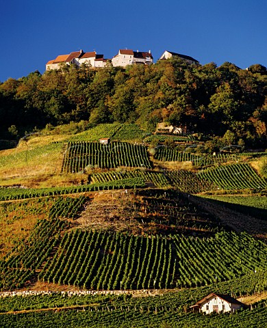 The cabin with a  in vineyard of Domaine De Lahaye below the hilltop village of ChteauChalon  NevysurSeille Jura France  AC ChteauChalon