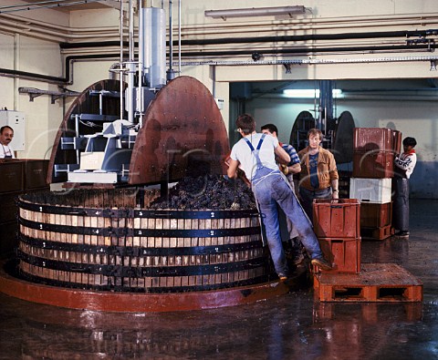 Filling press with Pinot Noir grapes at Champagne   Bollinger Ay Marne France