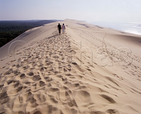 The Dune du Pilat with Les Landes pine forest to  the east and the Atlantic Ocean to the west   South of Arcachon Gironde France  Aquitaine