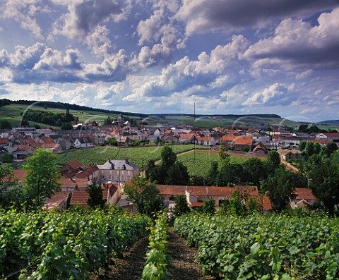The village of Le MesnilsurOger surrounds the small walled vineyard of Clos du Mesnil Owned by Krug the clos is planted solely with Chardonnay for one of the worlds most expensive Champagnes  Marne France  Cte des Blancs  Champagne