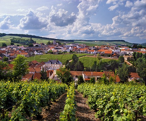 The village of Le MesnilsurOger which surroundsthe small walled vineyard of Clos du Mesnil Ownedby Krug it is planted solely with Chardonnay andmakes one of the worlds most expensive ChampagnesMarne France   Cte des Blancs  Champagne