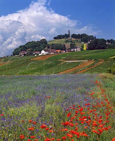 Spring flowers below the vineyards of   ChatillonsurMarne and its huge statue of Pope Urbain II 10881099 in the Marne Valley west of pernay Marne France   Champagne