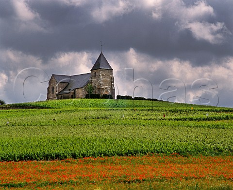 Church in the vineyards at Chavot near pernay Marne France  Champagne