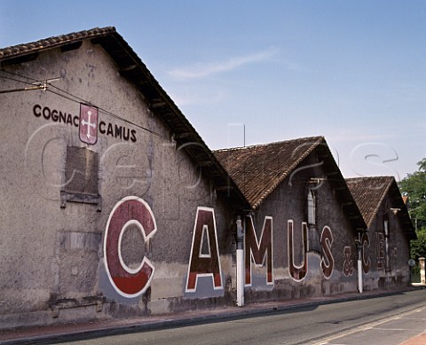 Warehouses of Cognac Camus with roofs blackened by a fungus which lives on the fumes of the brandy maturing inside  Cognac Charente France