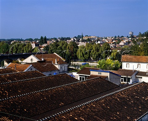 Warehouse roofs blackened by a fungus which lives on the fumes from the brandy maturing inside  Cognac Charente France