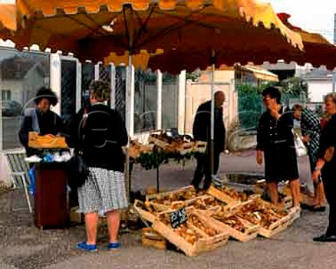 Cpes on sale at roadside stall in Villenave a   suburb of Bordeaux Gironde France