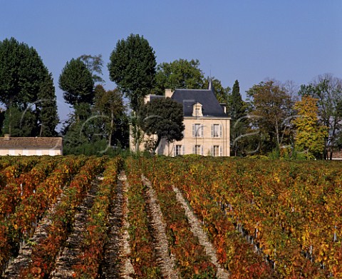 Chteau PichonLonguevilleComtessedeLalande  viewed over autumnal vineyard of Chteau Latour Pauillac Gironde France   Mdoc  Bordeaux