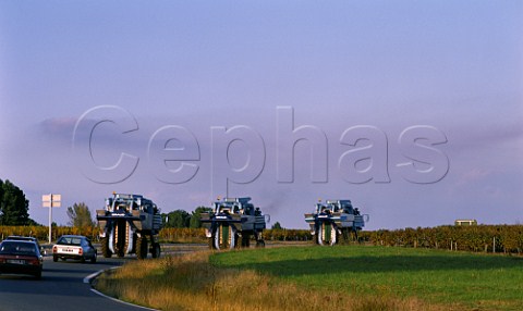 Three mechanical grape harvesters returning to Pauillac in the evening Gironde France Mdoc  Bordeaux