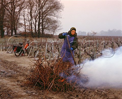 Burning Cabernet Sauvignon prunings on a frosty   morning in early January Chateau LeovilleBarton   StJulien Gironde France  Mdoc  Bordeaux