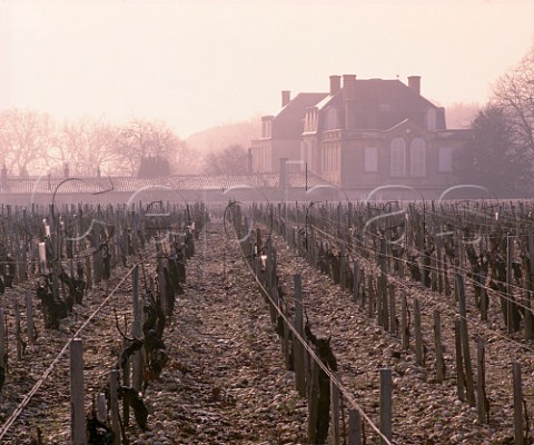 Chteau Langoa and vineyard on a misty January  morning StJulien Gironde France   Mdoc  Bordeaux