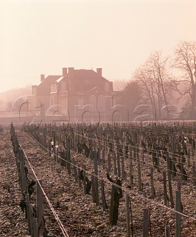 Chteau Langoa and its vineyard on a misty January  morning StJulien Gironde France   Mdoc  Bordeaux