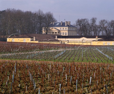 Chteau Margaux viewed over its vineyard in winter  Margaux Gironde France  Mdoc  Bordeaux