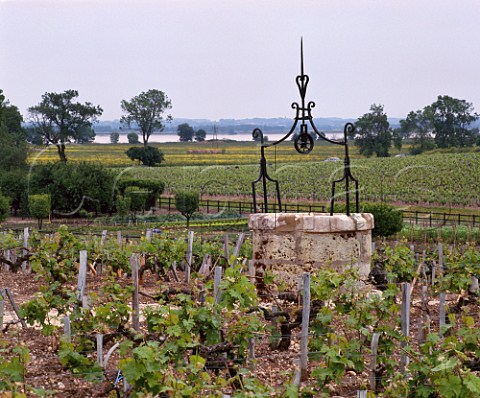 Well in vineyard of Chteau Latour with the   Gironde estuary beyond   Pauillac Gironde France  Mdoc  Bordeaux