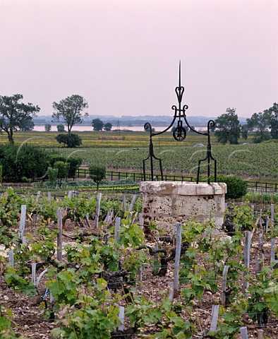Old well in vineyard of Chteau Latour with the   Gironde estuary beyond   Pauillac Gironde France  Mdoc  Bordeaux