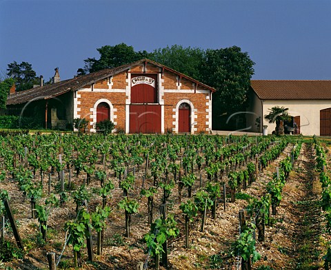 Chai and vineyard of Chteau de By Bgadan Gironde France Mdoc  Bordeaux