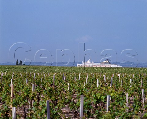 Ship sailing past vineyards of Chteau Verdignan shows its proximity to the Gironde estuary   StSeurindeCadourne Gironde France  Mdoc Cru Bourgeois Suprieur