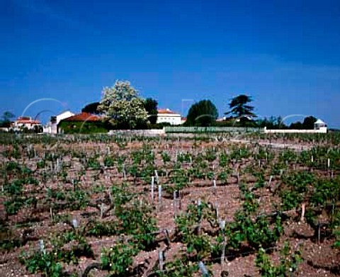 Chteau LynchBages Pauillac Gironde France  Mdoc  Bordeaux
