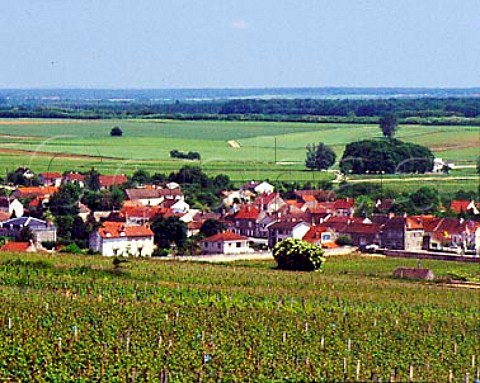LadoixSerrigny viewed over Les Bressandes vineyard   on the Hill of Corton  Cote de Beaune