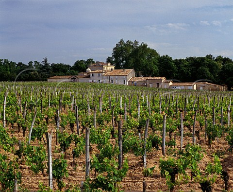 Chteau Figeac and its vineyard Stmilion Gironde France  Saintmilion  Bordeaux