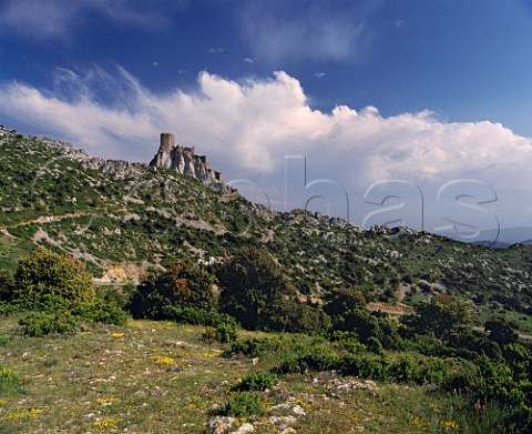 Chteau de Quribus one of the Cathar castles  built in the 13thcentury  Aude France