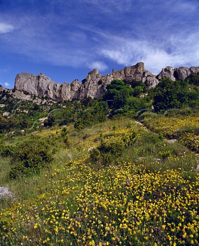 The Cathar Chteau de Peyrepertuse Aude France