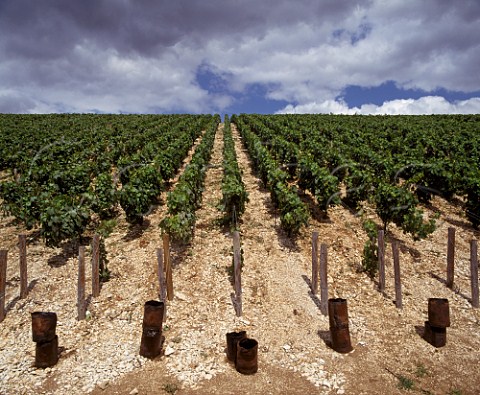 Oil burning smudge pots on the Kimmeridgean Clay soil of Montmains vineyard These are lit for protection against spring frosts Chablis Yonne France   Chablis Premier Cru