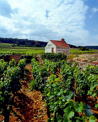 Hut of Domaine Pierre Damoy in ChambertinClos de  Bze vineyard GevreyChambertin Cte dOr France  Cte de Nuits Grand Cru
