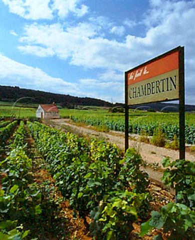 Hut of Domaine Pierre Damoy in Chambertin Clos deBeze  a Burgundy Grand Cru vineyard in the communeof GevreyChambertin on the Cote de Nuits           PTO The sign indicates the northern end of theChambertin vineyard of which Clos de Beze is a part