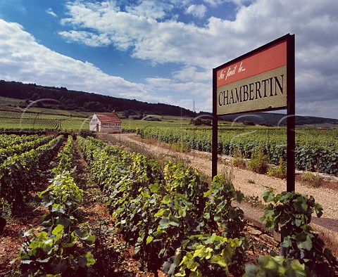 Sign marking the border between Chambertin and ChambertinClos de Bze vineyards with the hut of Domaine Pierre Damoy beyond GevreyChambertin Cte dOr  France  Cte de Nuits Grand Cru