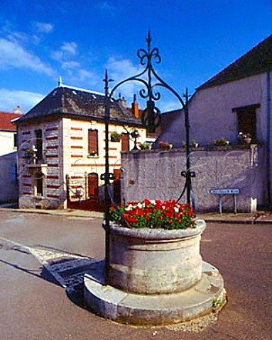 Flower planted in old well in the village of VosneRomanee Cote dOr France 
