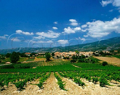 Vineyards around hamlet of Les Baux with the slopes   of Mont Ventoux beyond Vaucluse France   Ctes du Ventoux
