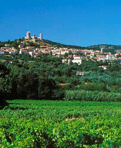 Vineyards around the village of Grimaud Var   France  Ctes de Provence