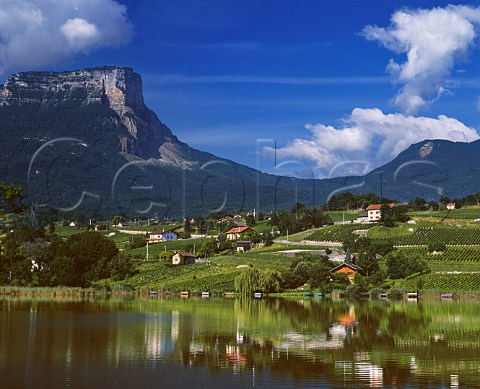 Mont Granier 1933m and the Col du Granier viewed over Lac de StAndr with vineyards on the slopes around the lake StAndr Savoie France Vin de SavoieAbymes