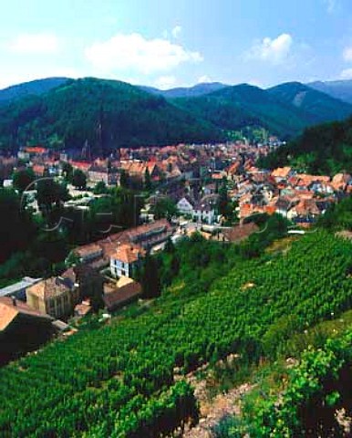 View over Thann from Clos StUrbain on the hill of   Rangen The vineyard owned by ZindHumbrecht is   famous for its Riesling   HautRhin France   Alsace