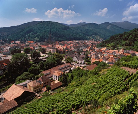 View over Thann from Clos StUrbain vineyard of ZindHumbrecht on the hill of Rangen with the Vosges mountains beyond  HautRhin France  Alsace