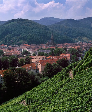 View over Thann to the Vosges mountains from Clos StUrbain vineyard on the hill of Rangen    HautRhin France Alsace