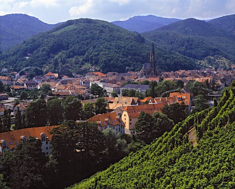 View over Thann from Clos StUrbain on the hill of   Rangen The vineyard owned by ZindHumbrecht is   famous for its Riesling   HautRhin France Alsace