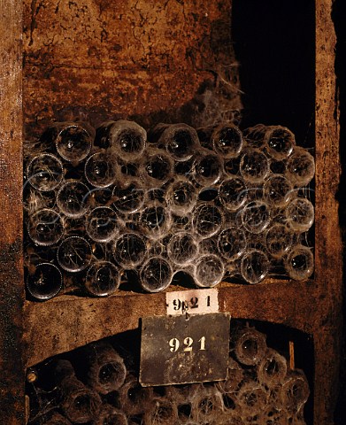 Cobwebs on bottles in cellar of Louis Latours Chteau de Grancey AloxeCorton Cte dOr France
