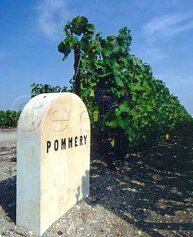 Champagne Pommery marker stone in Pinot Noir   vineyard at MareuilsurAy