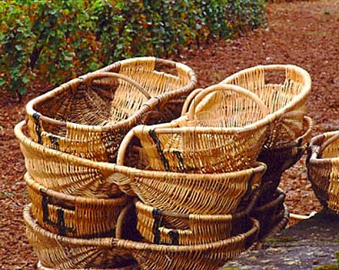 Traditional wicker baskets in Louis Latours les   Perrieres vineyard at AloxeCorton AC Corton