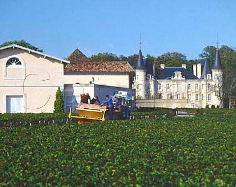 Harvest in vineyard of Chateau Latour next to Chateau PichonLonguevilleComtessedeLalande with Chateau PichonLongueville Baron beyond  Pauillac Gironde France